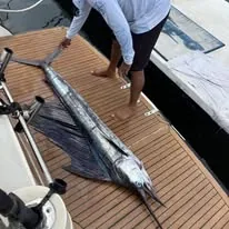 Pez de pesca deportiva sobre cubierta