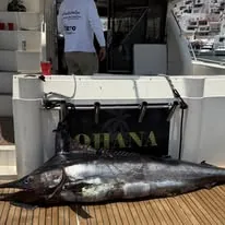 Captura de pesca deportiva en Manzanillo